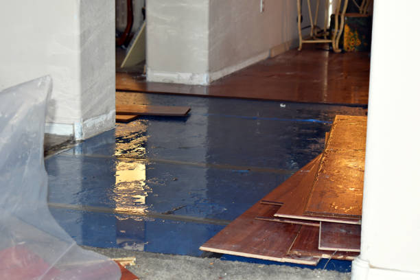 Professional Water Damage Restoration technician working in Milan, MI