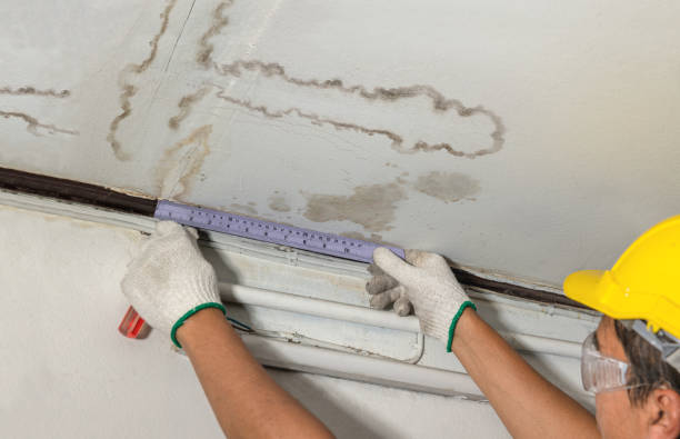 Reliable Water Damage Restoration contractor in Milan, MI by Water Damage Irwin